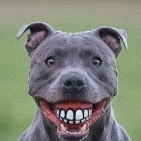 derdog's Avatar