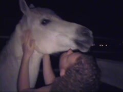 Video of bestiality - Zoophilia with horses and men