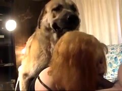 The woman fucks dog and throws the whole load
