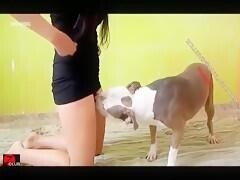 Wild slutty wife taking a dog cock deep