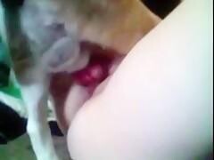 Horny Babysitter rubbing her pretty pussy