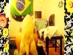 Brazilian with tremendous ass is punished