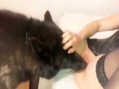 Dog Sucking Pussy And Fucking With Blonde