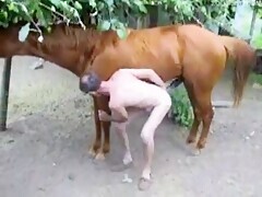 Gay penetrated by horse