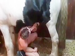 Gay Blowjob With Hot Horse
