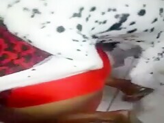 The Dalmatian wants to fuck his owner