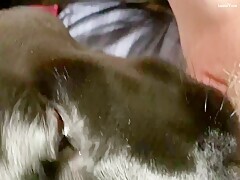 Thumb 16