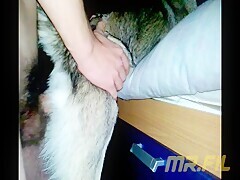 Thumb 12