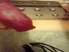 My dog ​​is very horny