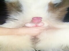 Thumb 11
