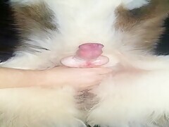 Thumb 13